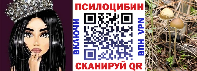 цены   Брюховецкая  это наркотические препараты  Псилоцибиновые грибы MAGIC MUSHROOMS 