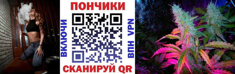 Бошки Шишки Amnesia  Брюховецкая 